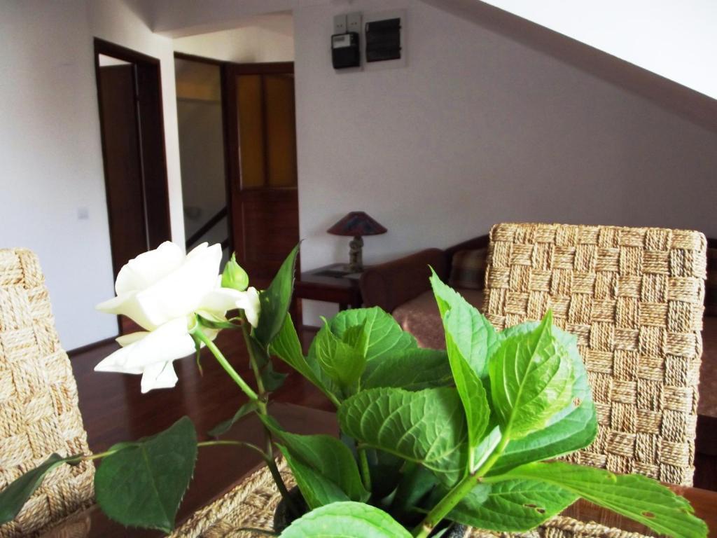 Apartments Budva Center Room photo